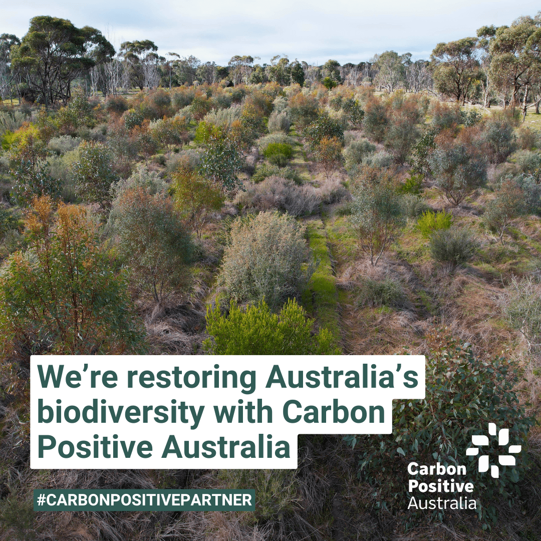 Carbon-Positive-Australia-Land-Restore A restored Australian landscape with diverse native plants, highlighting the biodiversity impact of our partnership with Carbon Positive Australia.